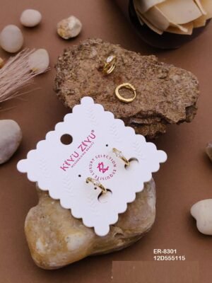 ER-8301 Anti-Tarnish Stainless Steel Earrings