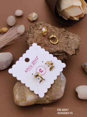 ER-8307 Anti-Tarnish Stainless Steel Earrings