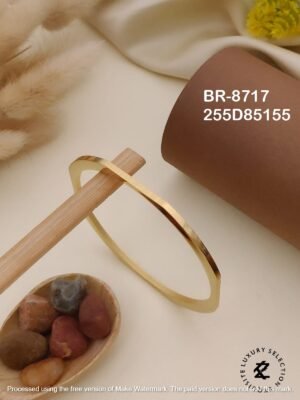 BR-8717 Anti-Tarnish Stainless Steel Bracelet KADA