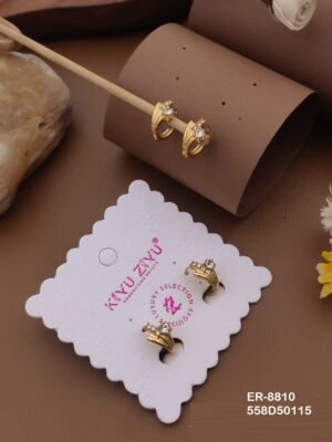 ER-8810 Anti-Tarnish Stainless Steel Earrings