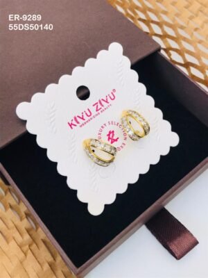 ER-9289 Anti-Tarnish Stainless Steel  Earrings