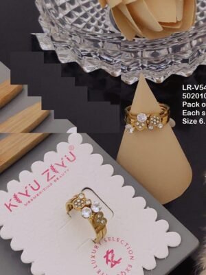 LR-V543 Anti-Tarnish Stainless Steel Pack Of 6  Rings