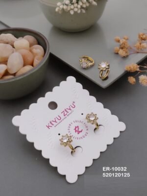ER-10032 Anti-Tarnish Stainless Steel  Earrings