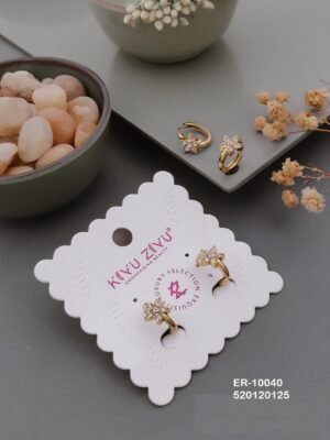 ER-10040 Anti-Tarnish Stainless Steel  Earrings
