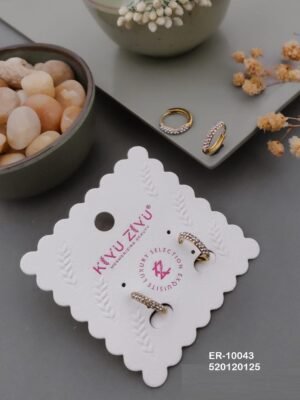 ER-10043 Anti-Tarnish Stainless Steel  Earrings