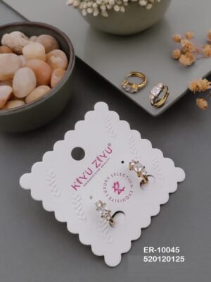 ER-10045 Anti-Tarnish Stainless Steel  Earrings
