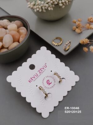 ER-10046 Anti-Tarnish Stainless Steel  Earrings