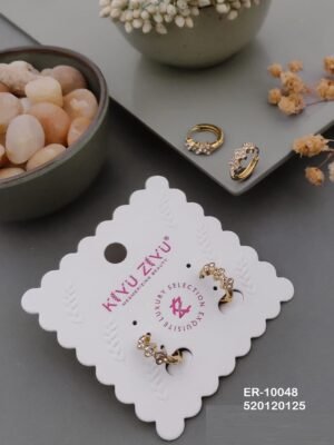 ER-10048 Anti-Tarnish Stainless Steel  Earrings