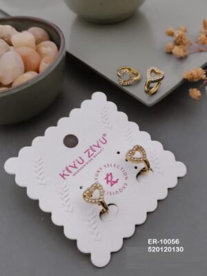 ER-10056 Anti-Tarnish Stainless Steel  Earrings