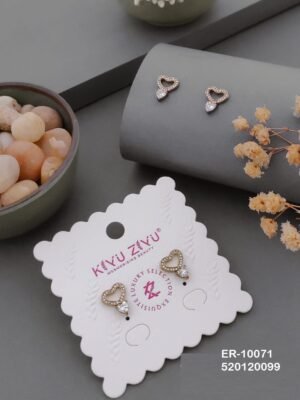 ER-10071 Anti-Tarnish Stainless Steel  Earrings