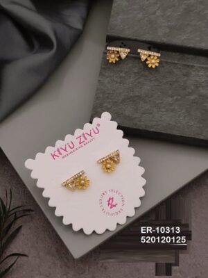 ER-10313 Anti-Tarnish Stainless Steel  Earrings