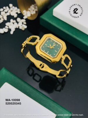 WA-10098 Anti-Tarnish Stainless Steel  Watches