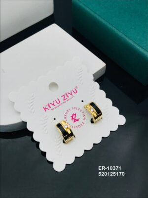 ER-10371 Anti-Tarnish Stainless Steel  Earrings