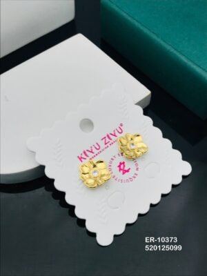 ER-10373 Anti-Tarnish Stainless Steel  Earrings