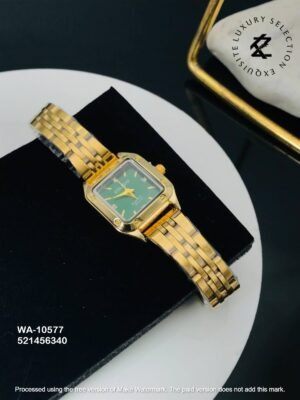 WA-10577 Anti-Tarnish Stainless Steel  Watches